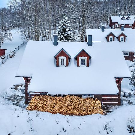 Modern Chalet Na Zlatniku Zlata Olesnice  외부 사진