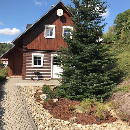 Modern Chalet Na Zlatniku Zlata Olesnice  외부 사진